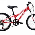 אופני הרים לילדים "XDS Juvenile 20 1