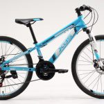אופני הרים לילדים "XDS Rising Sun 300 24 1